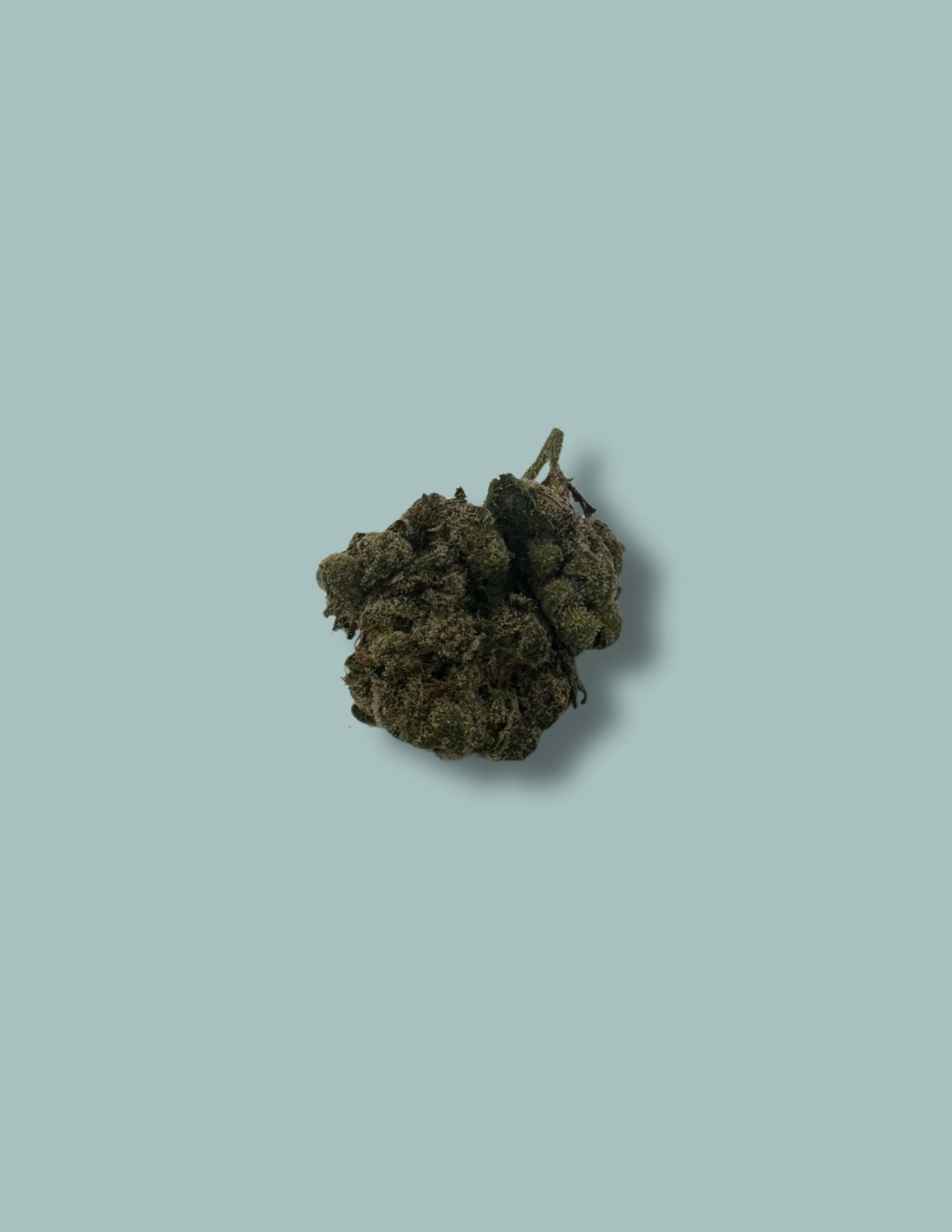 Forbidden Fruit