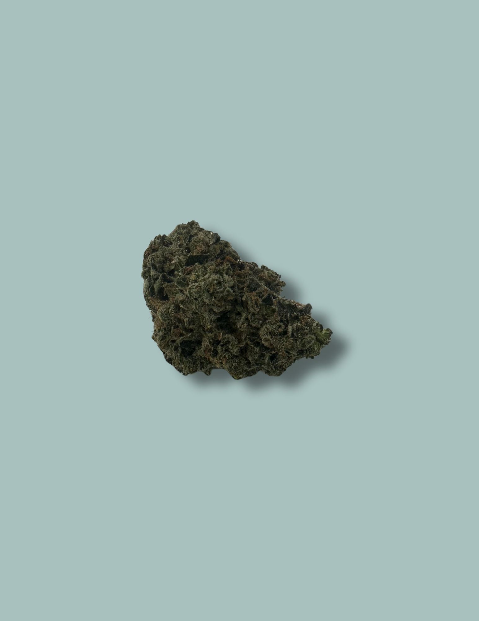 Cereal Milk
