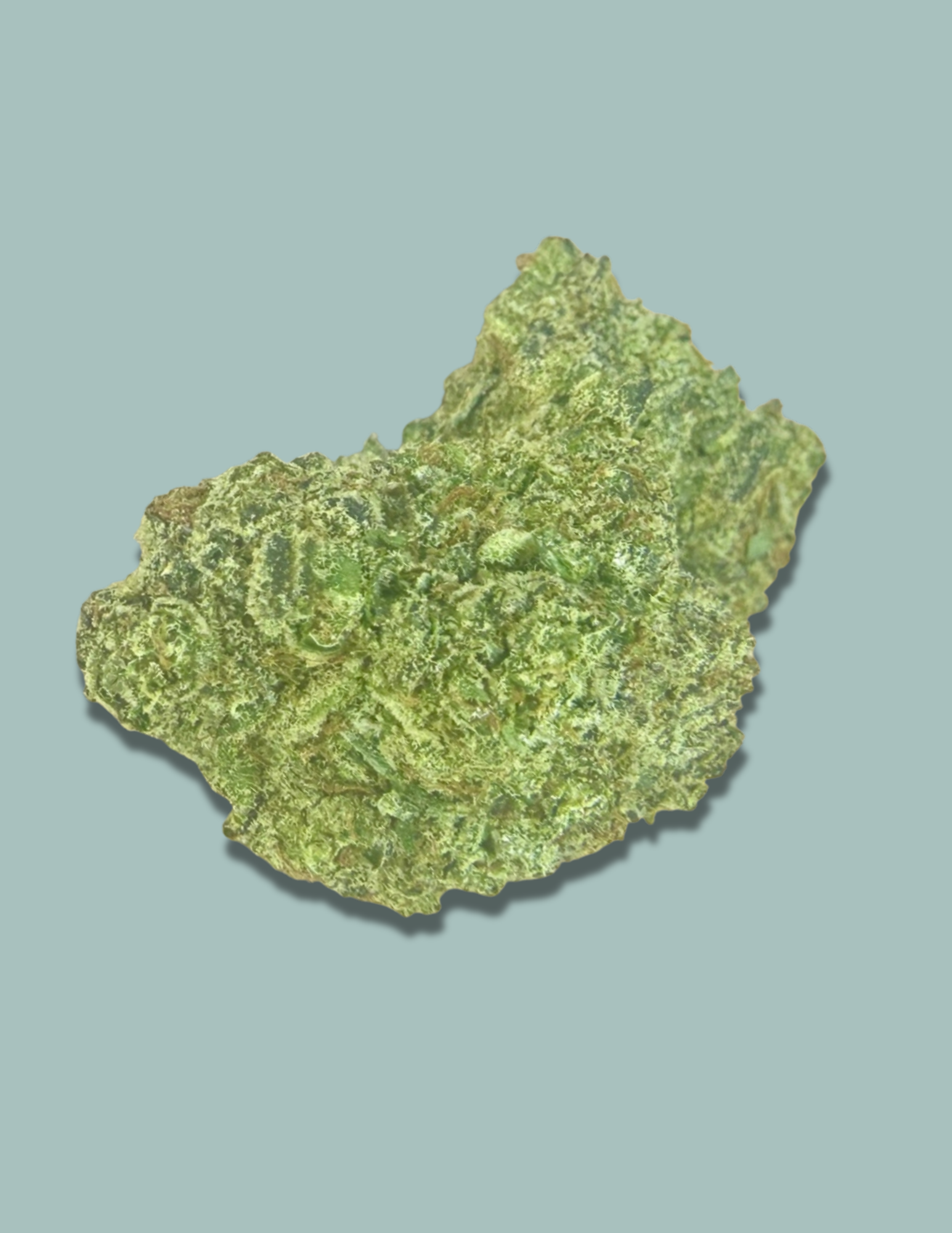 Forbidden Fruit