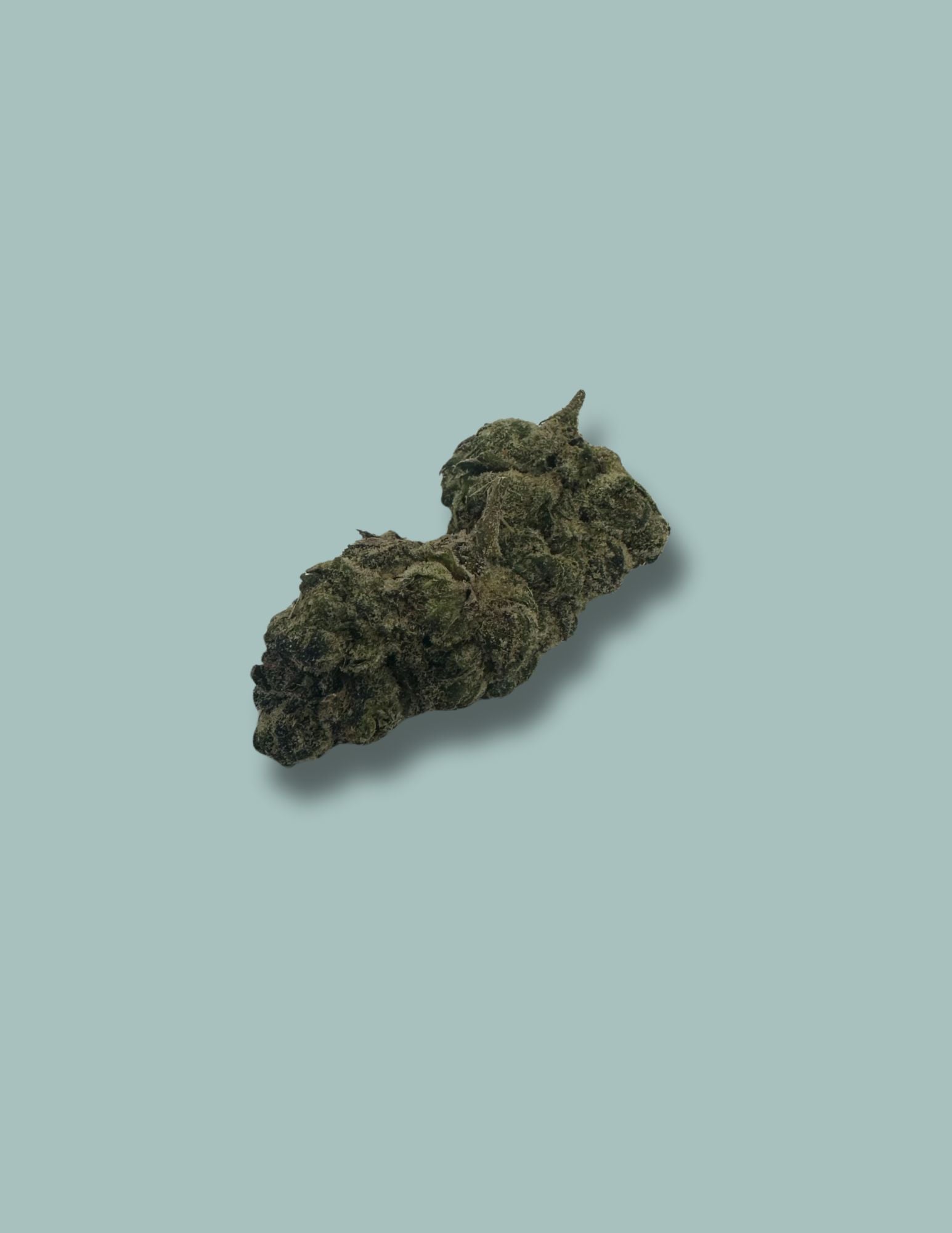 Strains of the Week