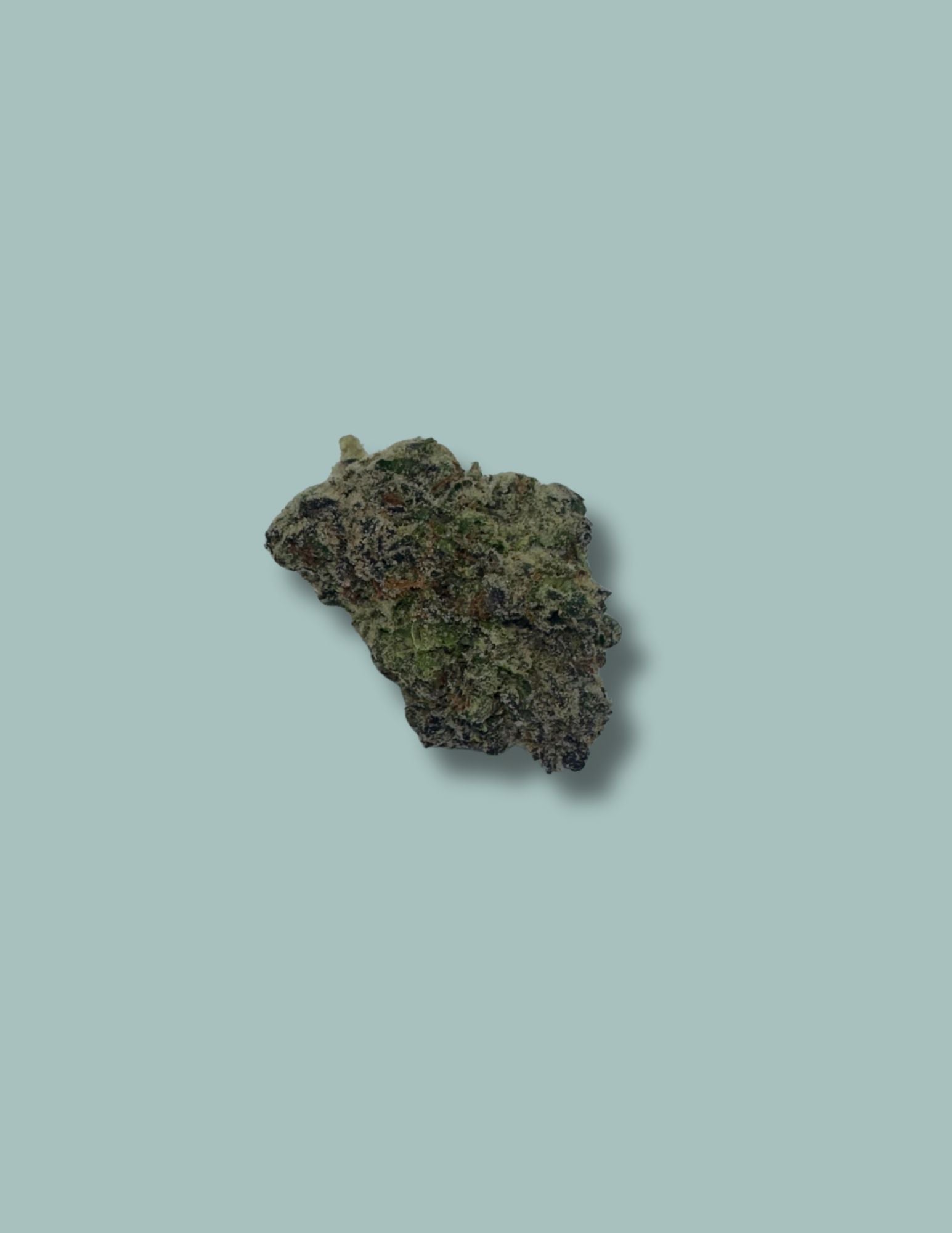 Tangerine Dream